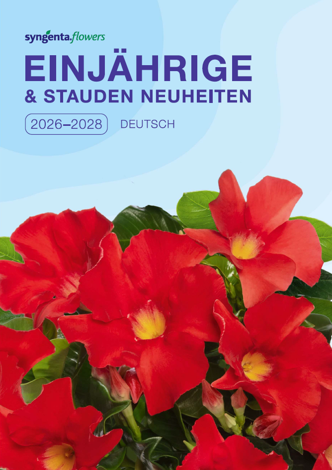 Syngenta Einjährige und Stauden 2026 - 2028